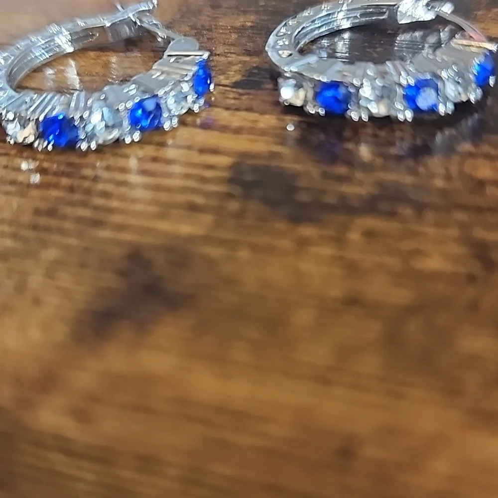 FIRM PRICE Elegant Silver and Blue Hoop Earrings .925
